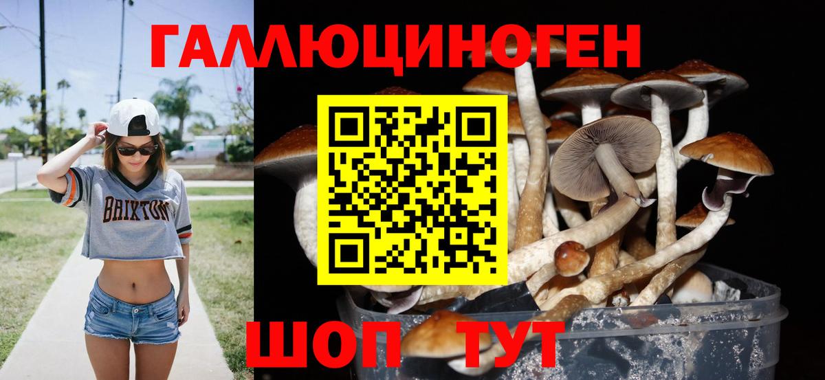 Псилоцибиновые грибы GOLDEN TEACHER  Псилоцибиновые грибы ЛСД  Белогорск  Вход с VPN 